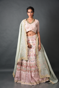 Blush Bloom Lehenga Set