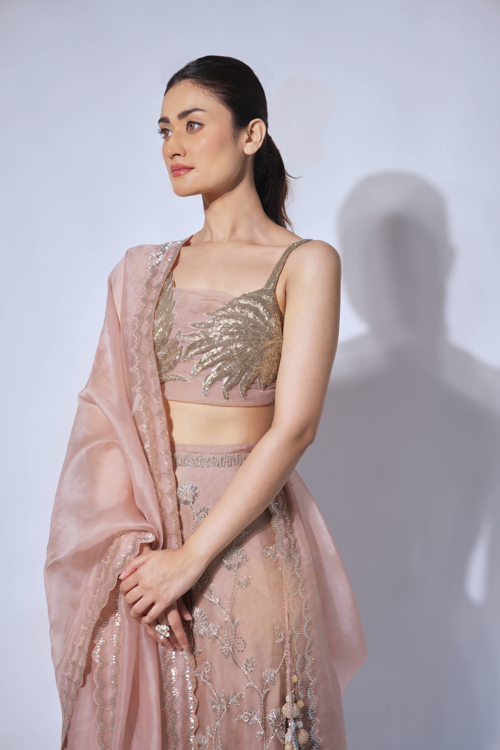 Nude Plume Bustier With Lehenga and Dupatta