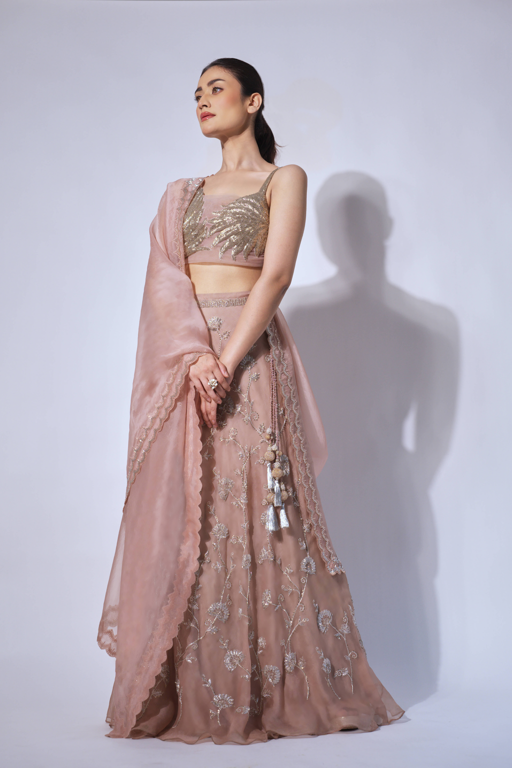 Nude Plume Bustier With Lehenga and Dupatta