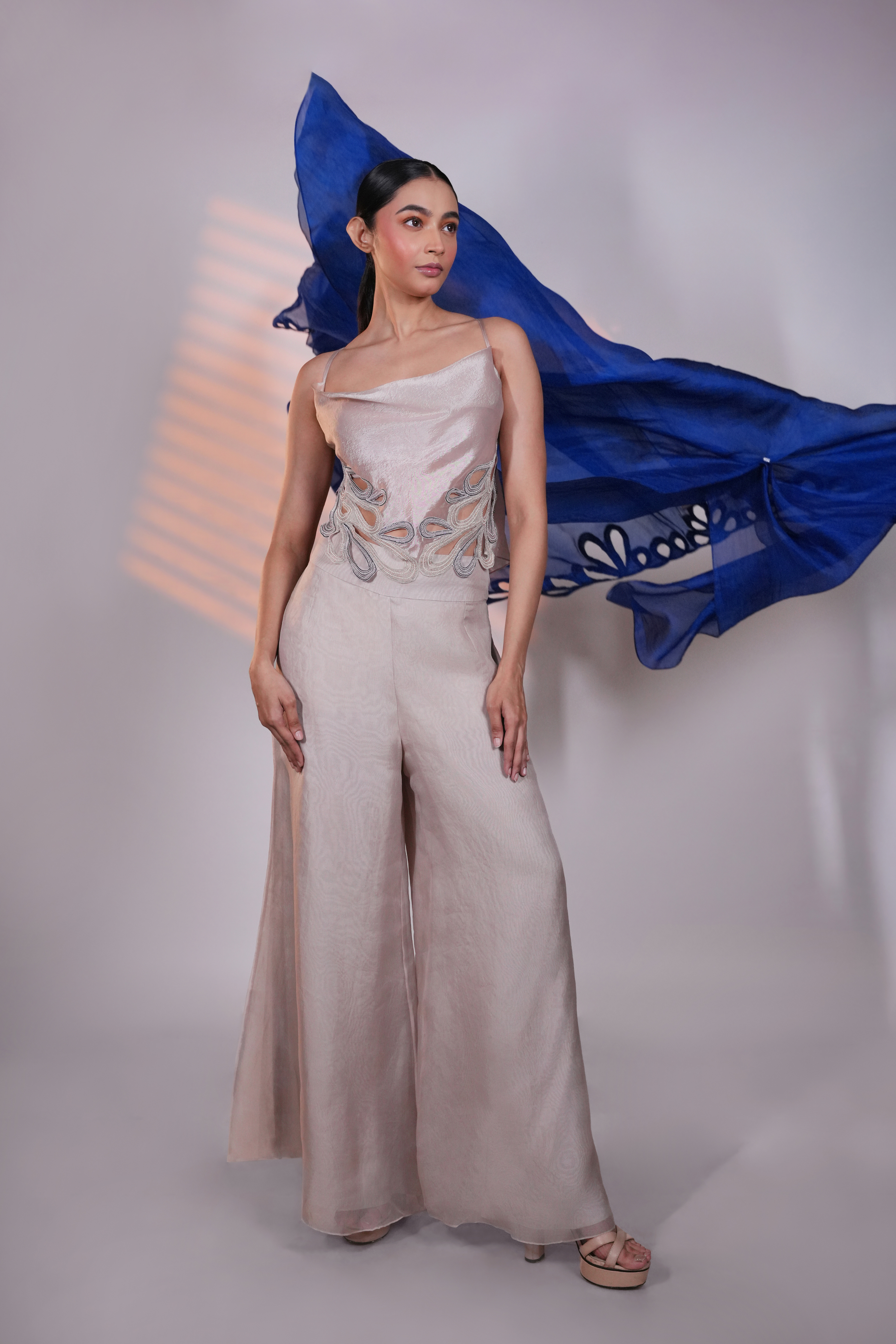 Blue Organza ReImagined Cape