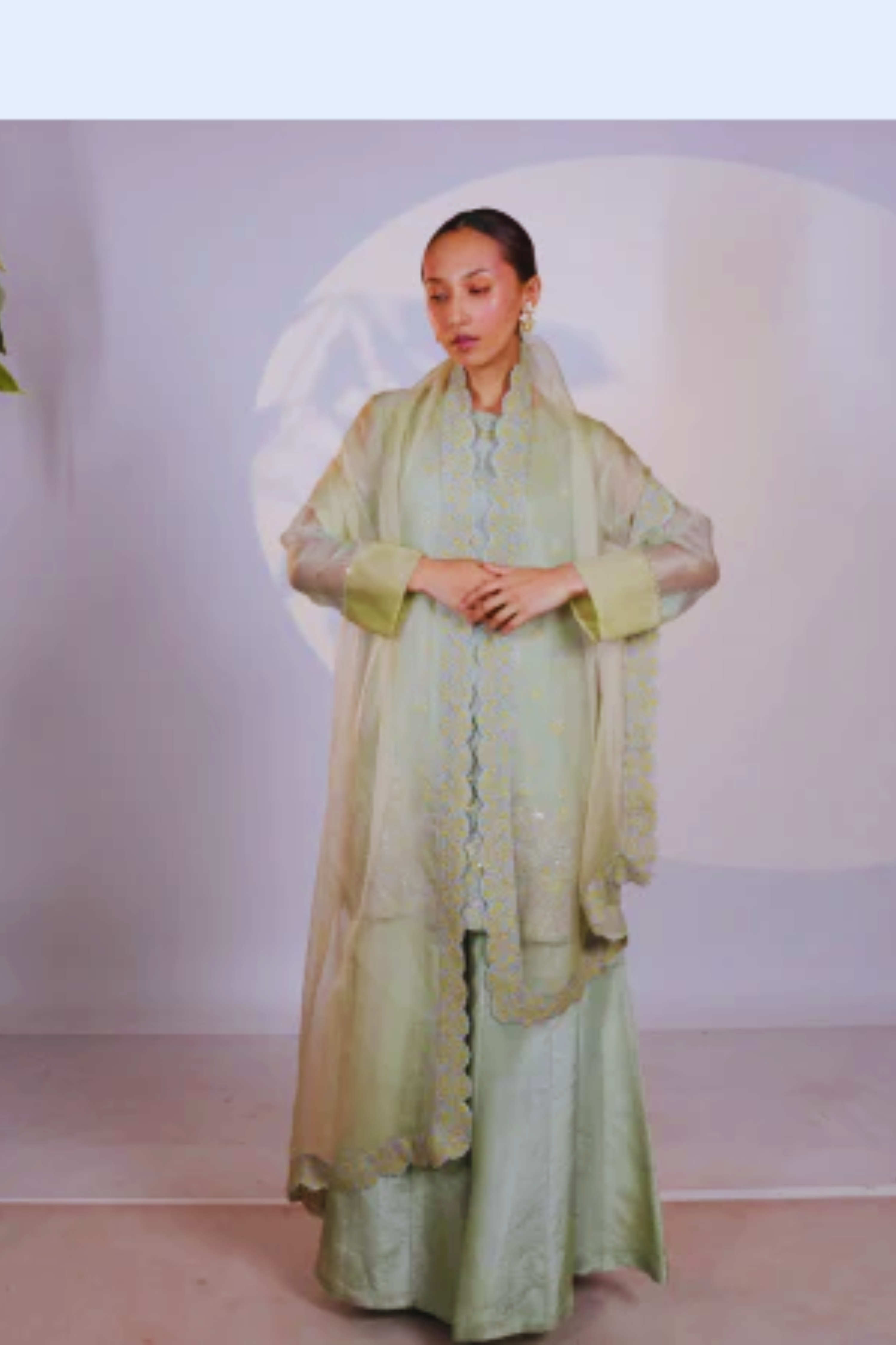Green Organza Kurta
