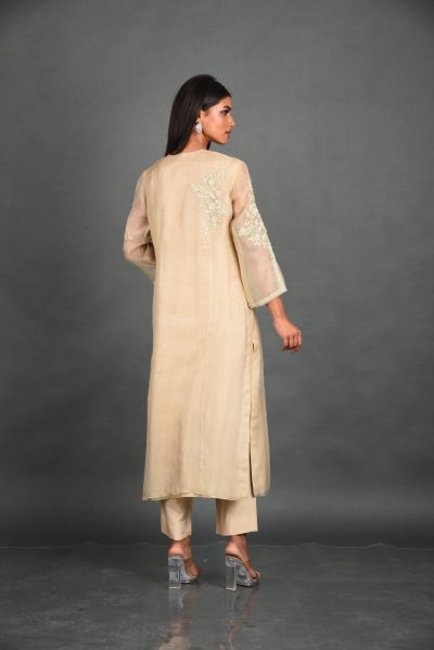 Beige Organza Kurta With Pant and Dupatta