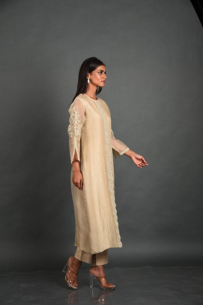 Beige Organza Kurta With Pant and Dupatta