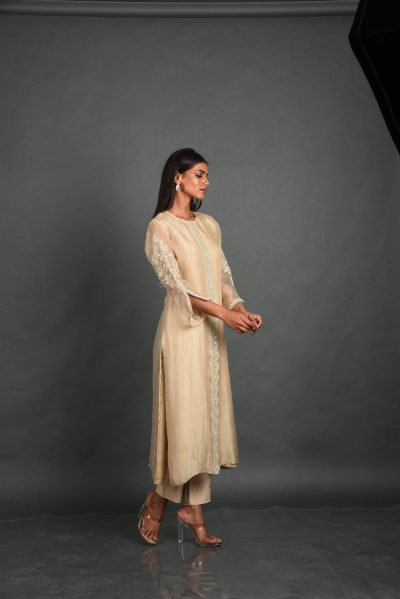 Beige Organza Kurta With Pant and Dupatta