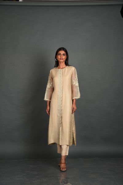 Beige Organza Kurta With Pant and Dupatta