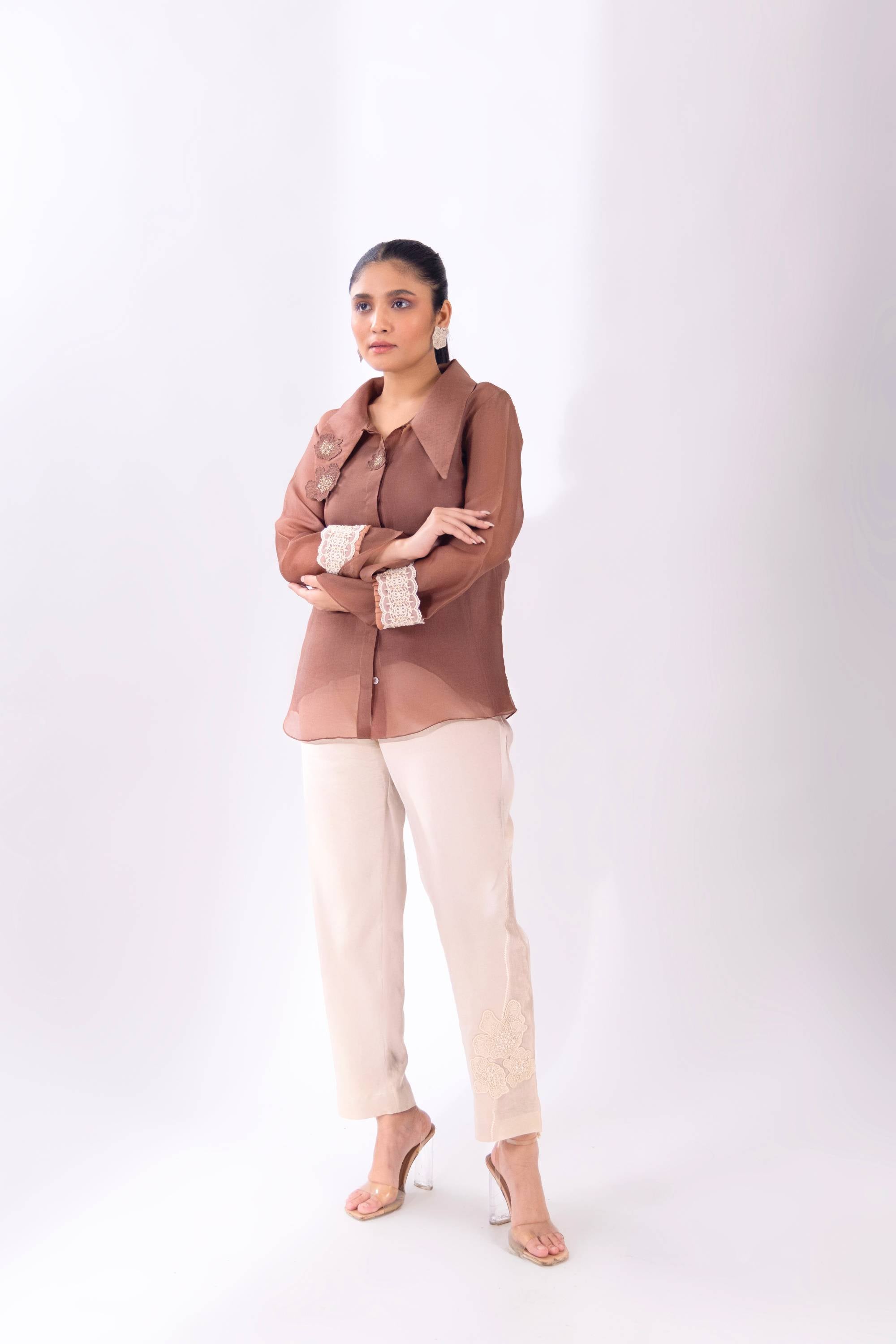 Brown Organza Long Collar Shirt With Slip