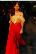 Pink Organza Pant With Bustier